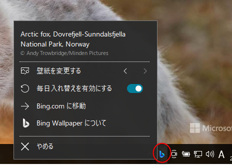 Bing Wallpaperの設定変更画像